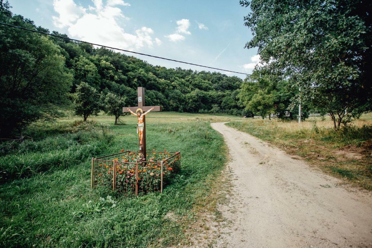 Banská Štiavnica Antosikov Majerゲストハウス エクステリア 写真